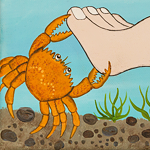 About the Illustrator